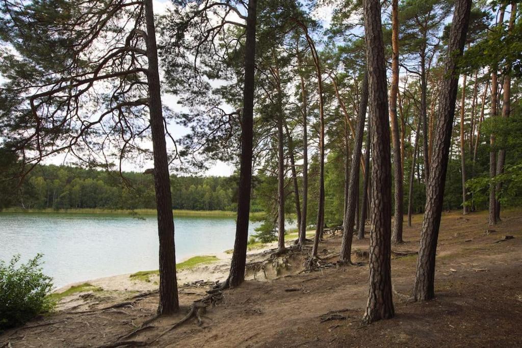 Kaminsko By Latowisko - Puszcza Zielonka Villa Exteriör bild