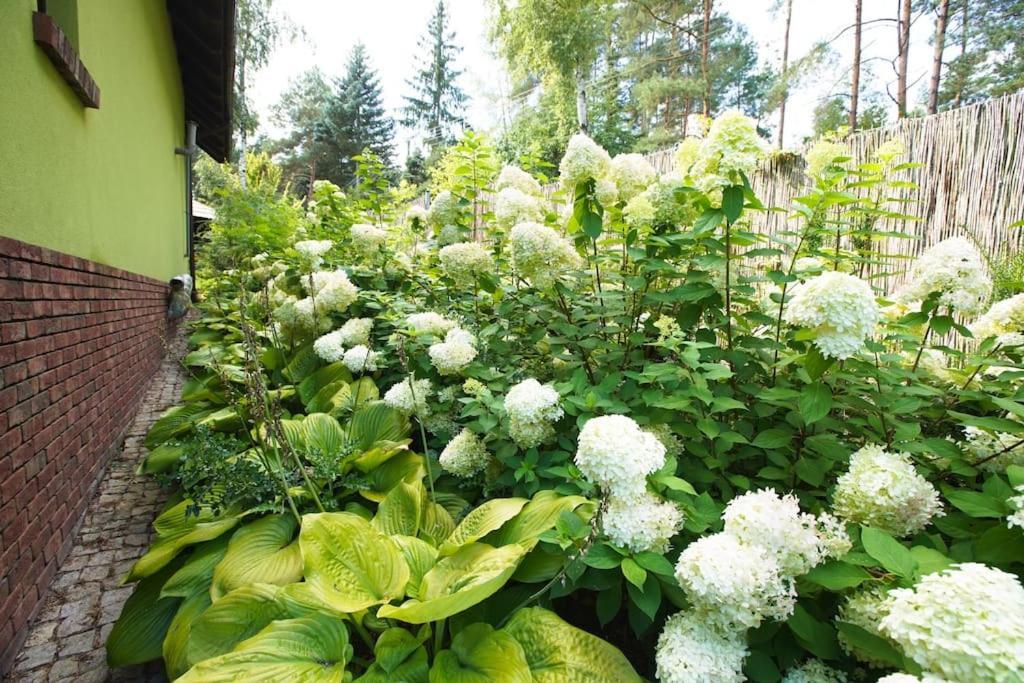 Kaminsko By Latowisko - Puszcza Zielonka Villa Exteriör bild